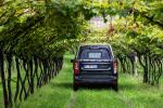 Dacia Dokker Pick-Up by Focaccia 2017 года